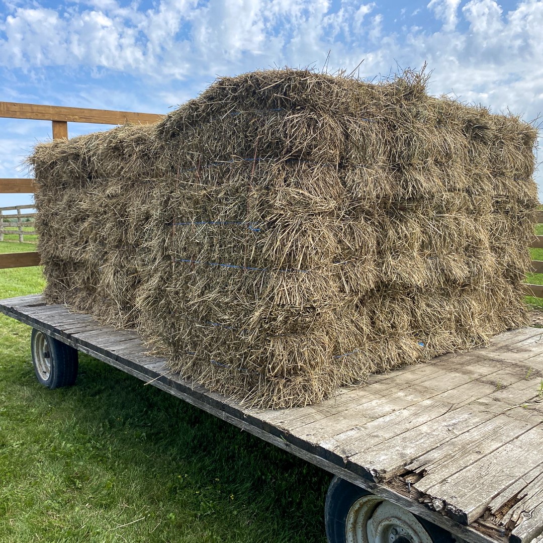 Hay bales sold by online auction at Rapid-Sell