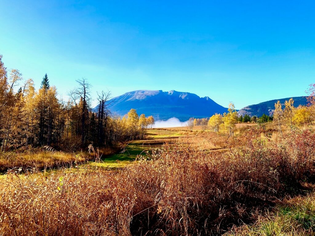 Nadina Mountain, BC.