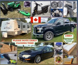 Sunset Summer Multi Consignor Auction - Guelph