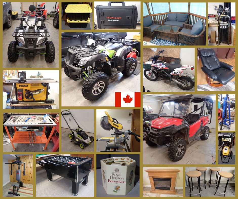 Merrill Moving Auction - Ariss